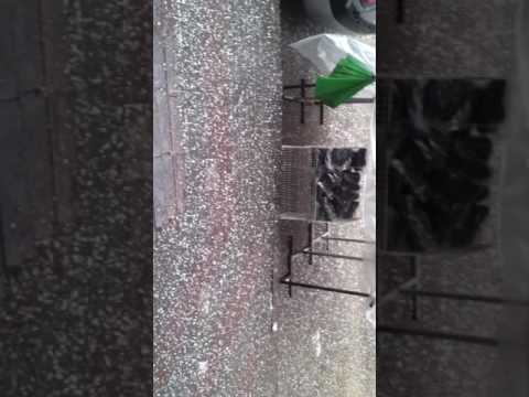 اوله مره اشوف الثلج في جنين