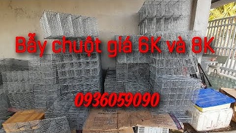 2000 bẫy chuột, bẫy sóc,bẫy chuột cống nhum phục vụ anh em 0936059090.