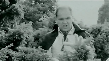 The Very Things – The Bushes Scream While My Daddy Prunes (Video Single) (REMASTERED)