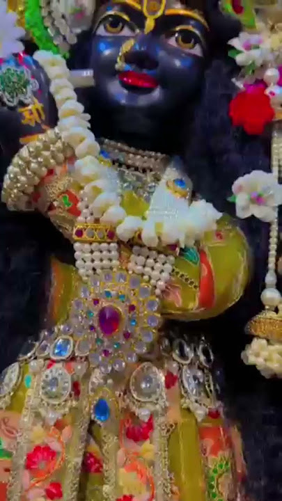 mithe Ras Se Bhari. #viral #krishnajanmashtami #janmashtami2025 #janmashtamispecial #swastimehul