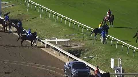 R4 FAIR GROUNDS | 27 NOV 2025