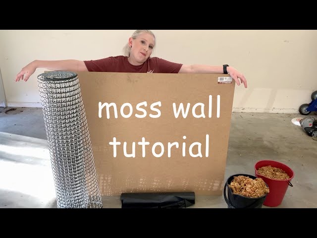 DIY How I Made My Own Moss Art Wall 