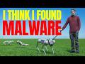 Robot Dogs Are A Security Nightmare
