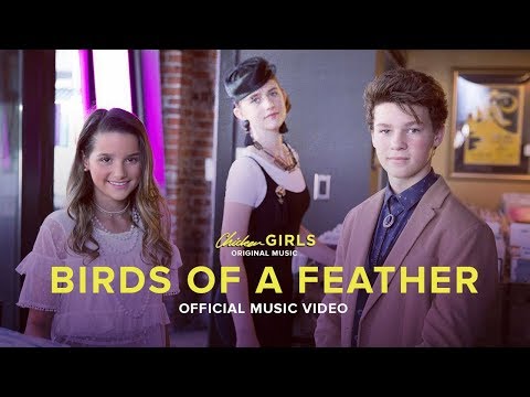 BIRDS OF A FEATHER | Official Music Video | Theme From “Chicken Girls”