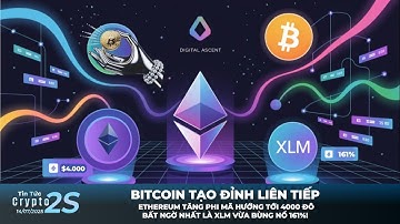 Tin Tức Crypto 2s! BITCOIN TẠO ĐỈNH LIÊN TIẾP, ETH HƯỚNG TỚI $4K! VÀ BẤT NGỜ NHẤT LÀ XLM TĂNG 161%!