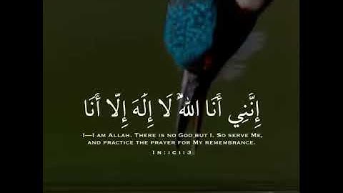 القرآن الكريم  لا اله الا الله محمد رسول الله صلى الله عليه وسلم(2)