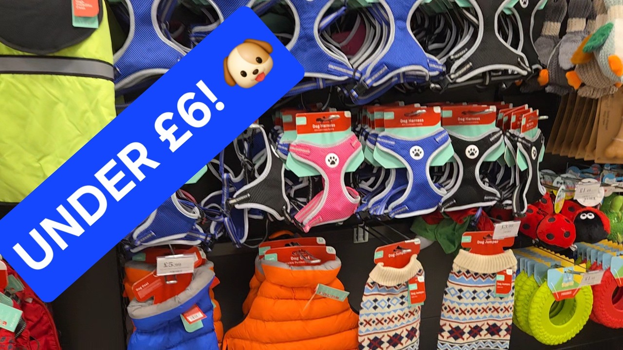 Home Bargains Dog Coats & Pet Bargains 🐶 Winter Finds Under £6! @Bex's Bargains