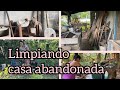 limpieza y depuración del patio en la casita del rancho