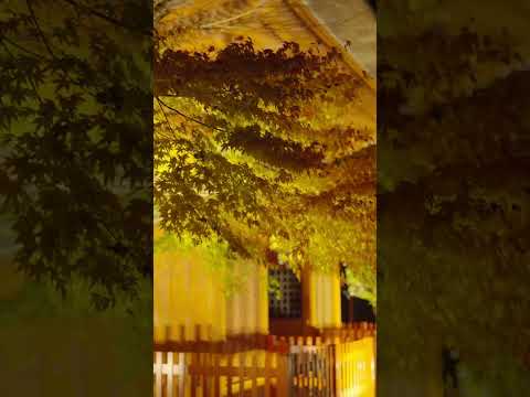 紅葉