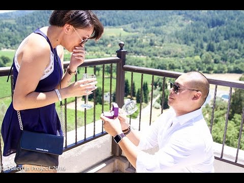 A Sterling Vineyards Proposal: Featuring Patrick and Merasha