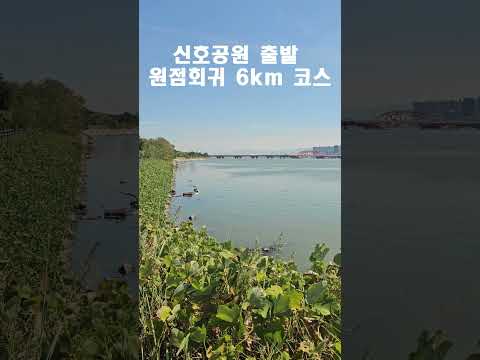 부산 강서구 신호공원 출발 원점회귀 6km 명품 걷기 코스🚶‍♂️🌊