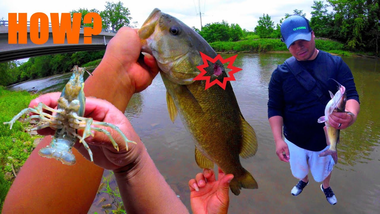 FISHING VLOG 71 4K DEEP WOUND