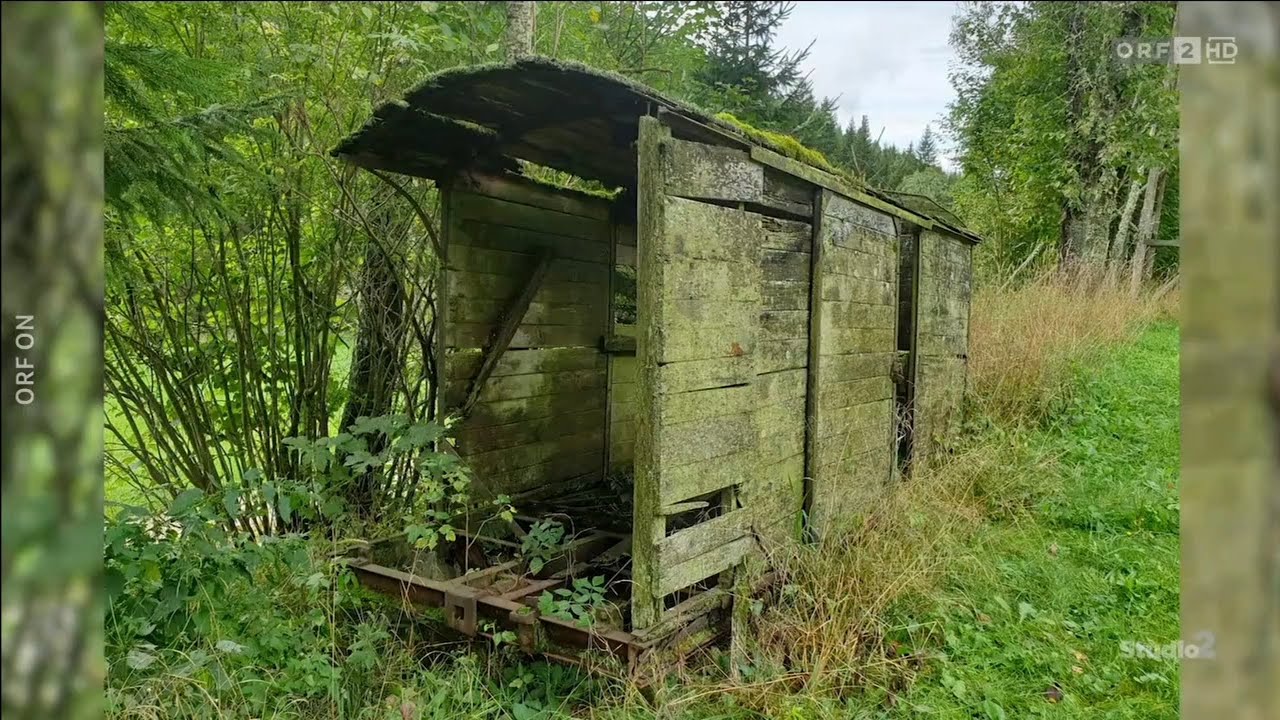 Waldbahn Rettenegg - Steinhaus am Semmering ORF 2, Beitrag 2025