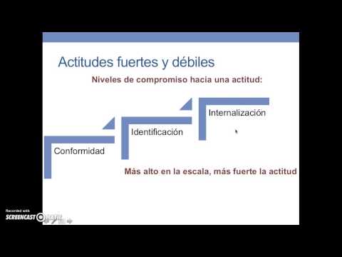 Vídeo: Actitud Del Consumidor Envers Les Dones