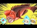 モンスターみたいな魚！コブダイとサメニンの海の冒険！