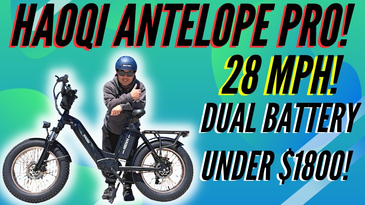 HAOQI Antelope Doppelbatterie E-Lastenfahrrad