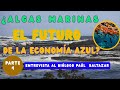 ENTREVISTA AL BIÓLOGO .Paul BALTAZAR PARTE -4