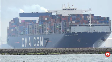 Container And Cruise Ships |Hoek Van Holland Ship Spotting 