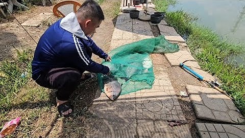 Câu cá chim hồ Thủy Mộc Hóc Môn một xuất 200k sáu tiếng