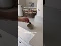 How to keep spiders & insects out of your home 🕷️ #lifehacks #shortsvideos #cleaninghacks