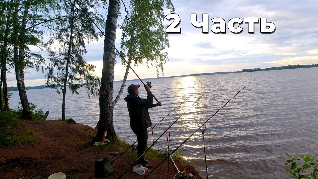 Монстры в волге