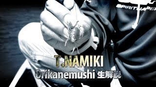並木敏成-オリカネムシ-生解説-OSP