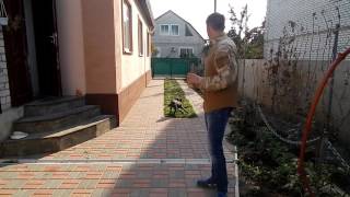 До мене - Команда жестом - День 2 (Кличка + жест) - Дресування цуценя До мене - Команда жестом - День 2 (Кличка + жест) - Дресування цуценя