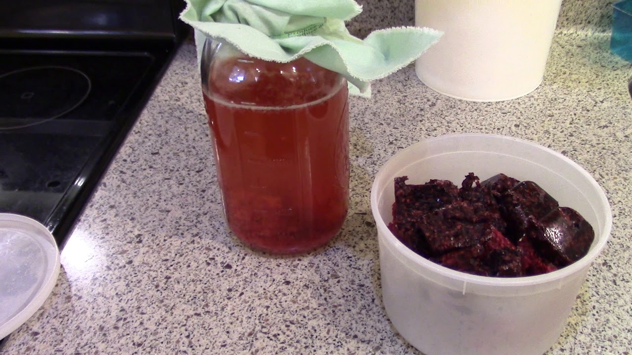 Weekly One Take Flavoring Kombucha with Jam Scraps (Vlogmas day 4