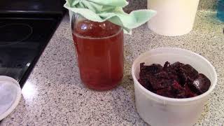 Weekly One Take: Flavoring Kombucha with Jam Scraps (Vlogmas day 4)