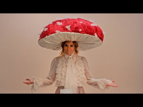MUDWTR YouTube ad: Can we trust mushrooms?