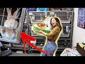 HOMELESS BUNNIES GET A BIG SURPRISE! 😱🐇