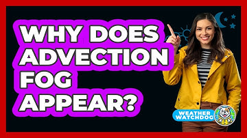 Why Does Advection Fog Appear? - Weather Watchdog
