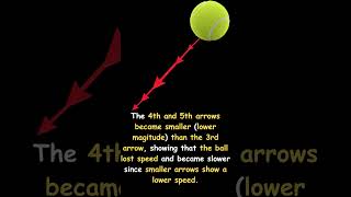 Position & Motion Explained By Bert | #physicsshorts #educational #science #scienceshorts