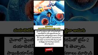 #DiabetesCure #StemCellTherapy #MedicalBreakthrough #HealthNews #ScienceUpdate #FutureMedicine