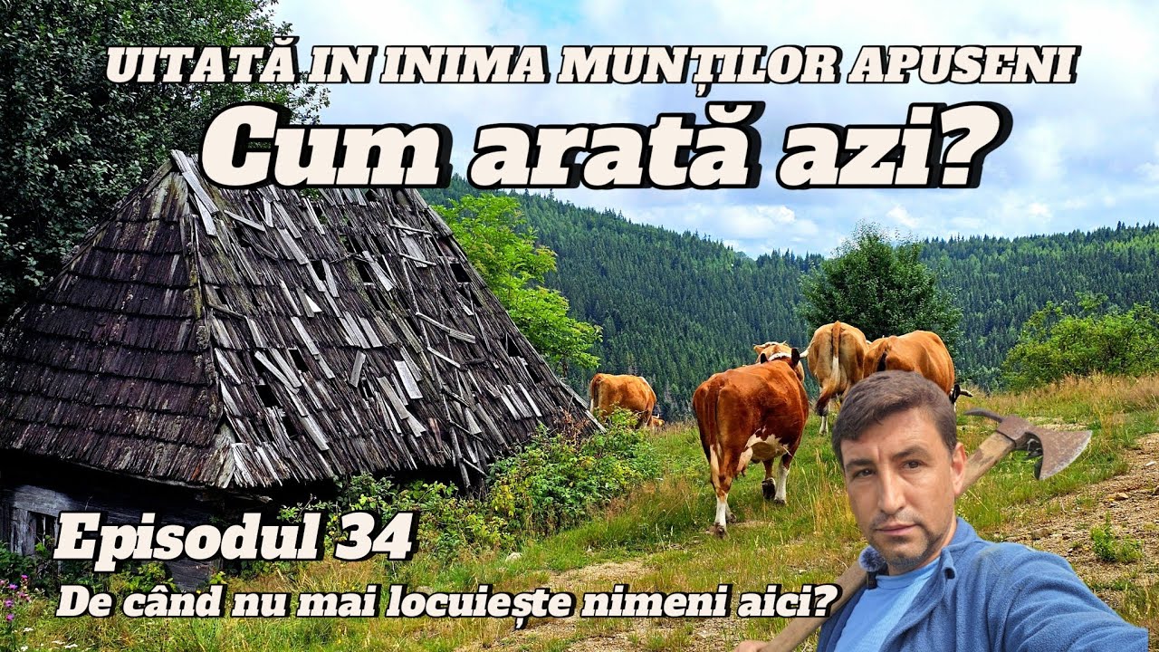 AM GĂSIT O CASĂ TRADIȚIONALĂ ABANDONATĂ ÎN APUSENI – IZOLATĂ ȘI GATA SĂ CADĂ | EP. 34