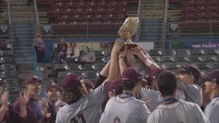 Arlington Wins Sectional Championship