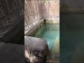 מקווה בנוי על נביעת מים עתיקה אפשר לקחת משם מים שלנו עין מבשר בוויז במבשרת ציון מקווה בנוי על נביעת מים עתיקה אפשר לקחת משם מים שלנו עין מבשר בוויז במבשרת ציון