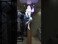 3D holographic human solution from SuperbHolo
