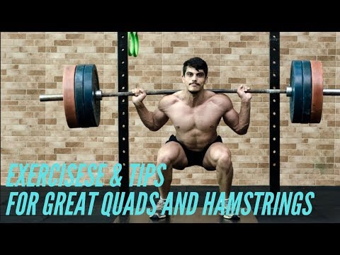 Best exercises for Legs with Tips For Great Quads And Hamstrings