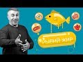 Рыбий жир — Доктор Комаровский