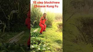 #everyone #martialarts #new Chinese Kung- Fu and boxing#10 step block#kungfu #like subscribe
