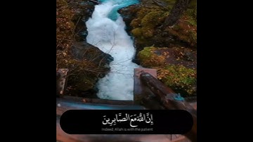 أجمل وأفضل حالات واتس اب قران كريم بصوت جميل جداً/حالات واتس اب دينيه/ستوريات انستا قران/راحة نفسية