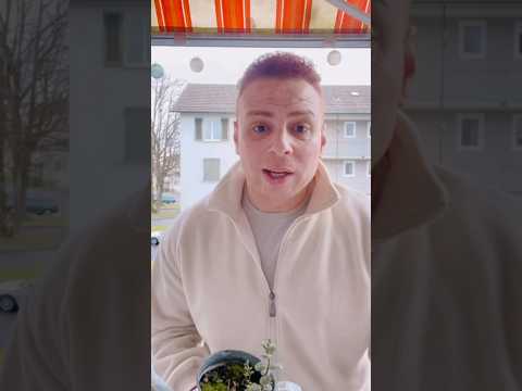 المهم انت مصدق إيه