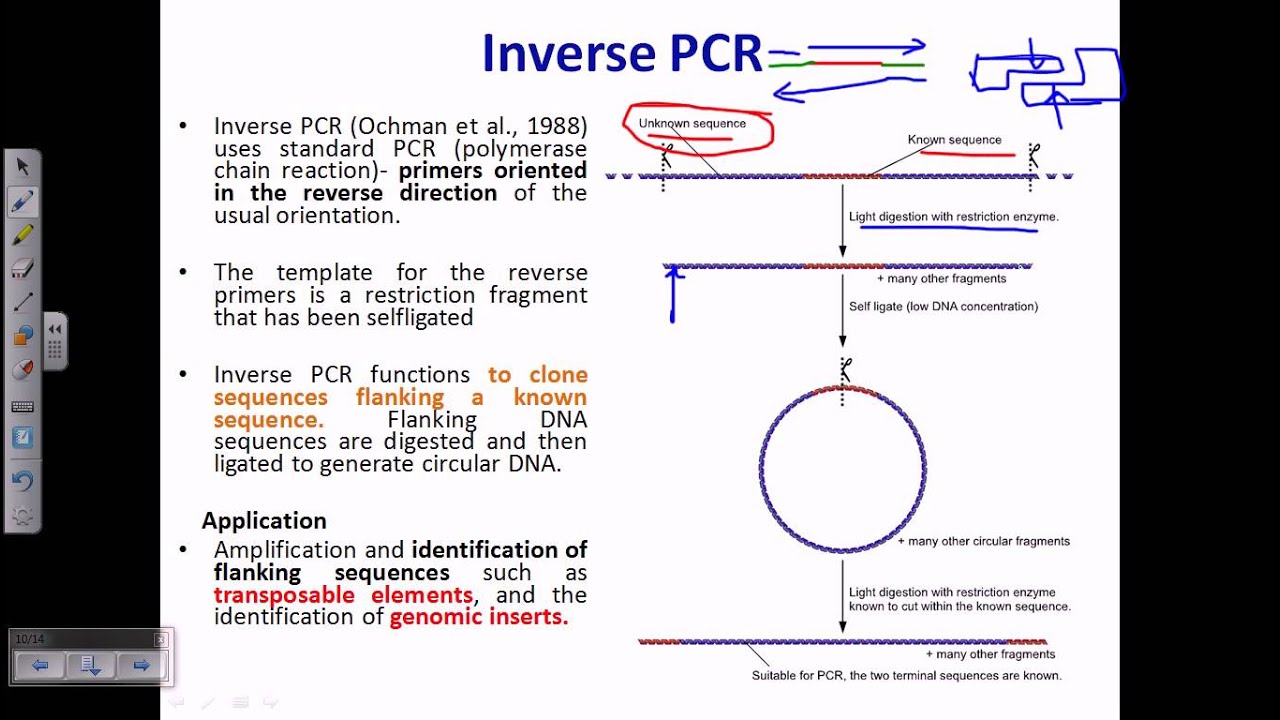 download the integrative