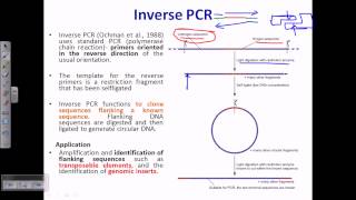 Inverse PCR