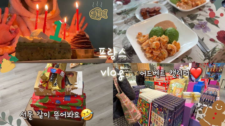 프랑스 vlog ♢ 어드벤트 캘린터 사러 라파예트, 조용하지만 시끄러운 내 생일🤣, 달력 몰아서 뜯기, 가오야랑 훠궈 냠냠, 심바는 먼저 바캉스 떠났슈