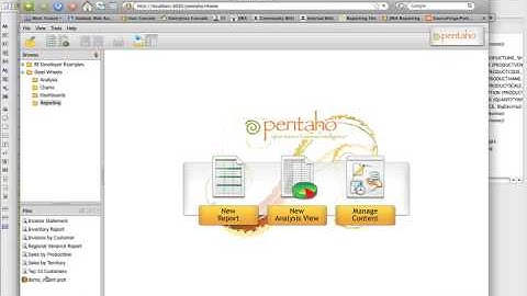 Pentaho Report Designer v3.5 - 3: Publishing a Report to the BI Server