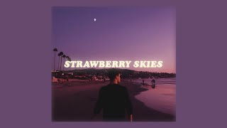 strawberry skies - kid travis // lyrics