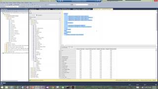 Analysis Services and MDX Essentials with Paul Turley Net Worth