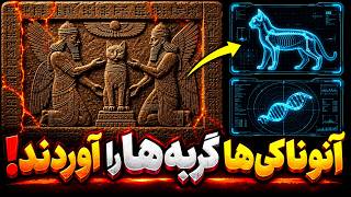 Full Sumerian Tablet Reveals: Cats Were Sent to Earth for Only One Purpose! Update